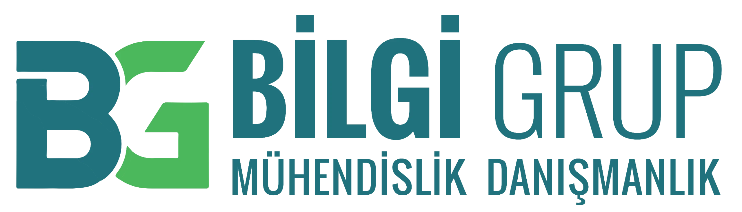 Bilgi Grup Logo